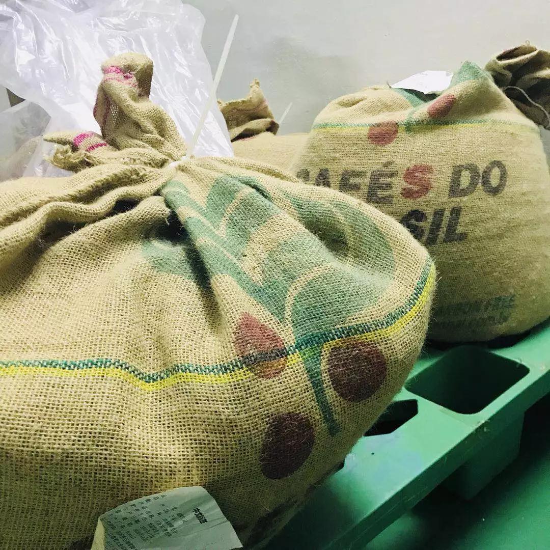 Yunnan Typica Green Beans