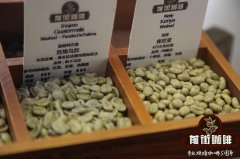 What Are the Taste Differences Between the Same Coffee Beans Processed with Washed vs. Natural Methods?