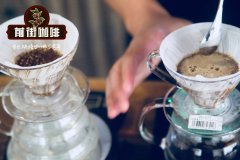 How to Use Freshly Roasted Coffee Beans_Do Freshly Roasted Coffee Beans Get Oily_How to Rest Freshly Roasted Coffee Beans