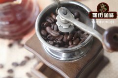How are Washed Coffee Beans Processed_Processing Methods for Washed Coffee Beans_Characteristics of Washed Coffee Beans