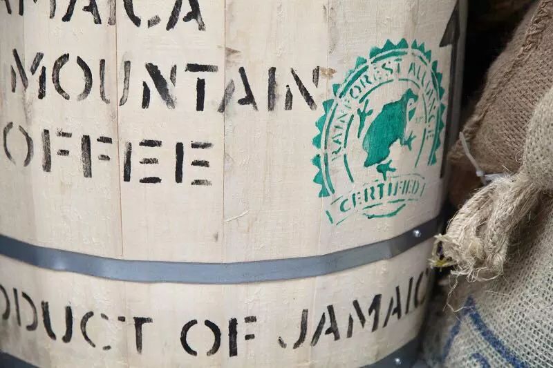 Jamaica Clifton Mount Estate