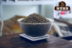 Comparison of Hainan Fushan Coffee and Xinglong Coffee - Which Hainan Coffee is Best - Fushan Coffee Price