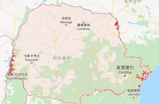 Paraná coffee landscape