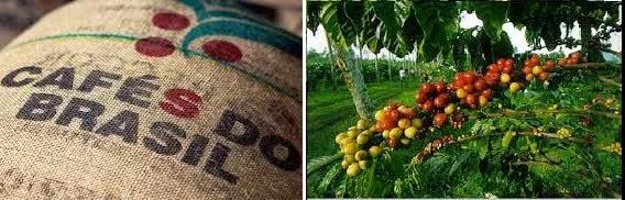 Historical coffee plantation