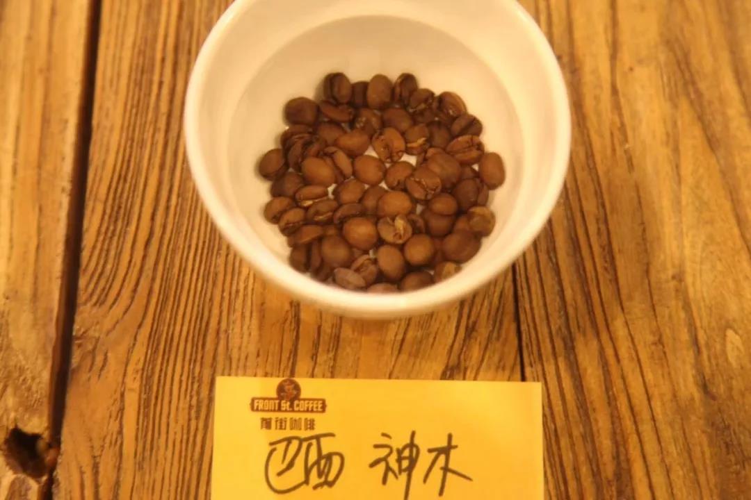 Brazilian coffee estate