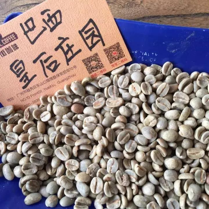 Brazil Queen Estate Yellow Bourbon