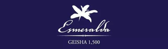 Blue Label Geisha Coffee