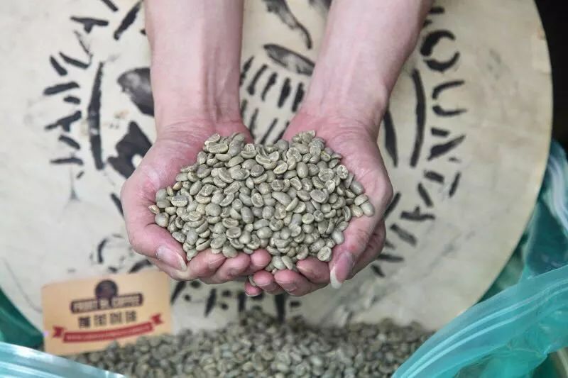 Jamaica Blue Mountain Coffee Beans