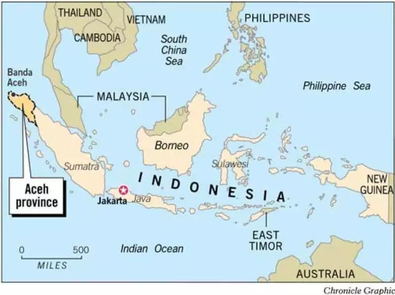 Gayo Mountain Mandheling coffee beans