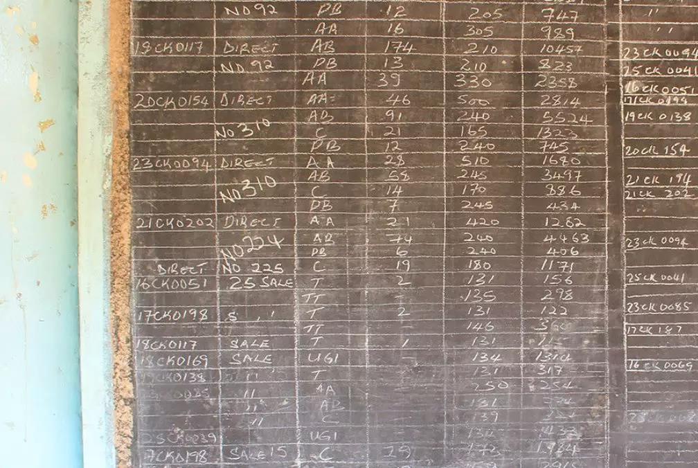 Kenya coffee farming