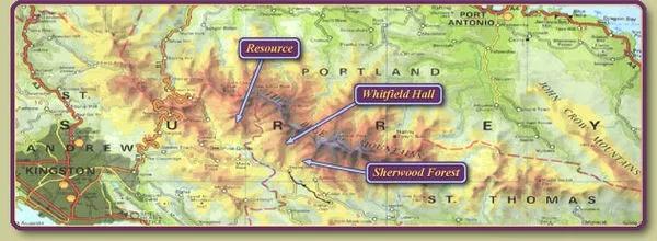 RSW Blue Mountain coffee estate