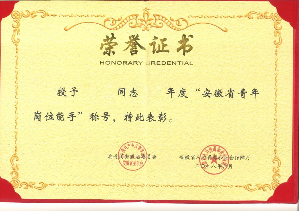 Description: Youth Post Expert Title Certificate