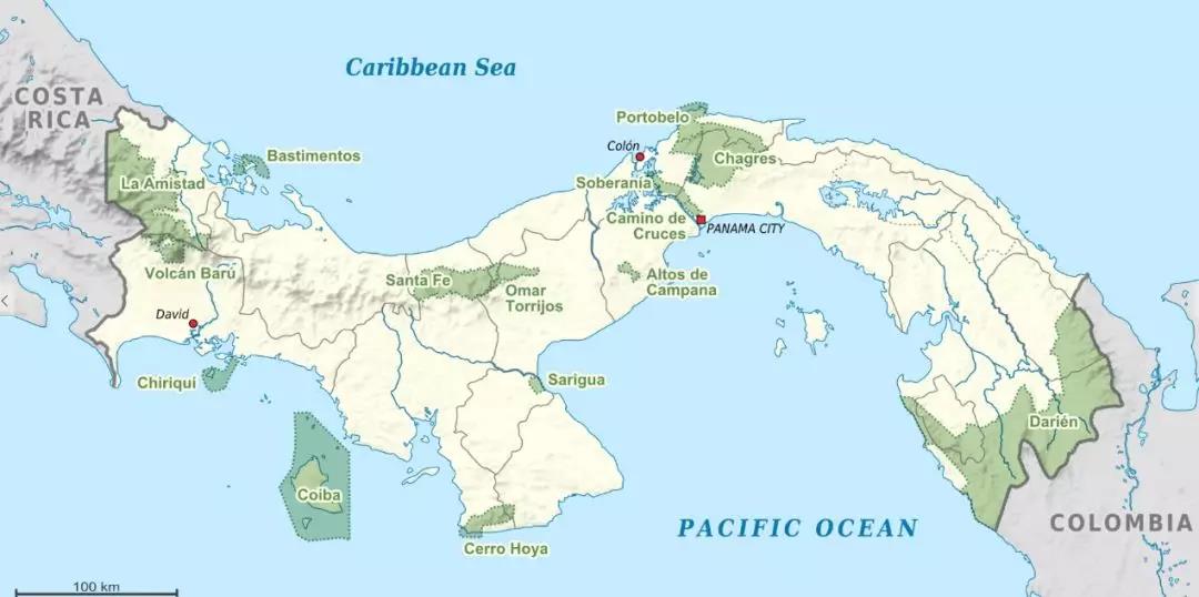 Panama coffee landscape