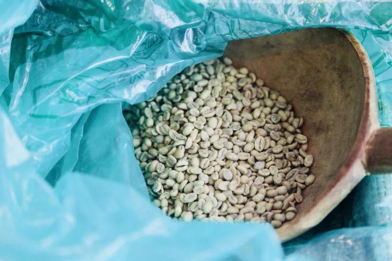 Coffee roaster adjusting roasting profile