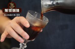 How to Make Pour-Over Brazilian Yellow Bourbon Honey Process Round Bean Coffee_How Good is Honey Process Yellow Bourbon Pour-Over