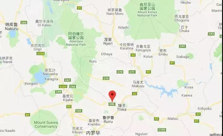 Kenyan coffee farm landscape