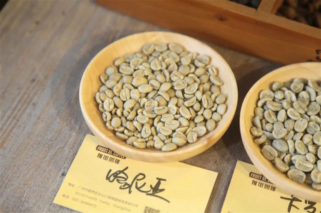 Coffee beans drying on African raised beds
