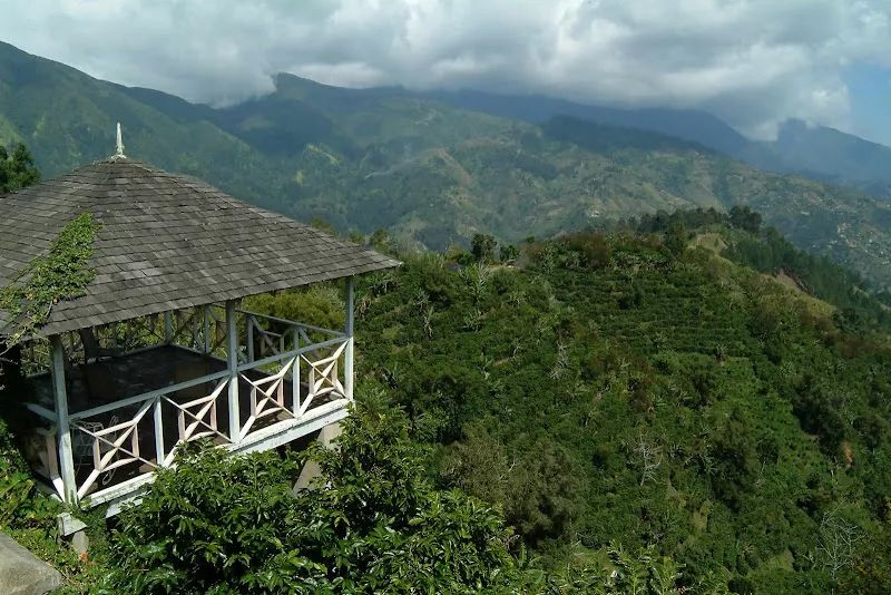 Wallenford Estate - One of Jamaica's Famous Blue Mountain Plantations