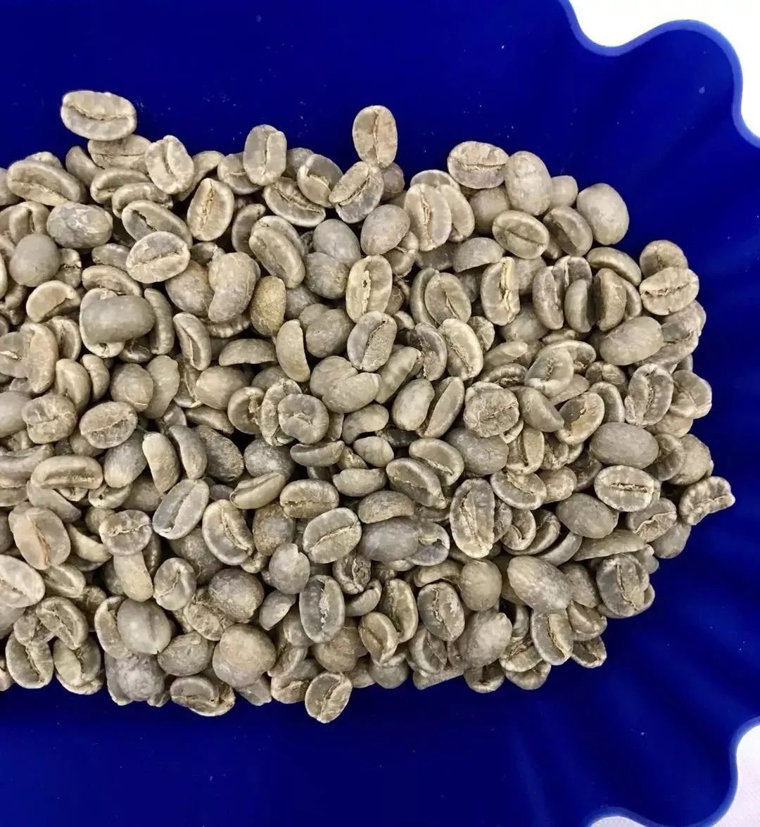 Coffee Brewing Equipment