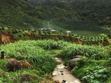 Three-stage pour-over brewing method demonstration