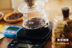 How to Brew Jenson Estate Red Label Geisha Pour-Over Coffee & Optimal TDS