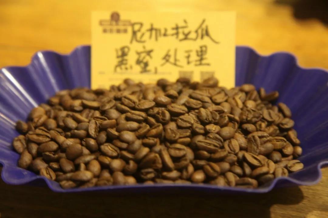 Coffee beans and brewing equipment
