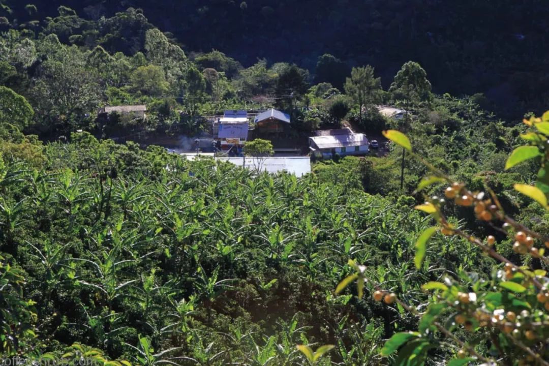 Nicaragua climate zones and weather patterns