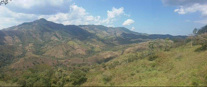 Nueva Segovia coffee farms