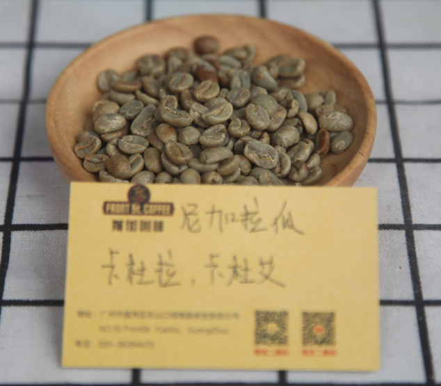 Nicaraguan coffee beans and cupping