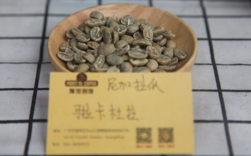 Maracaturra coffee beans