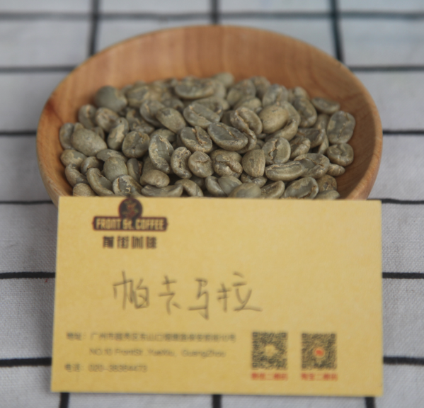 Pacamara coffee beans