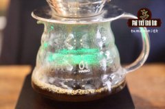 Why Pour-Over Coffee from El Salvador's Finca Las Nubes Natural Pacamara is Expensive_How Much Does Pacamara Cost