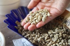 Raw Coffee Bean Water Activity | How to Protect Coffee from Excessive Water Activity