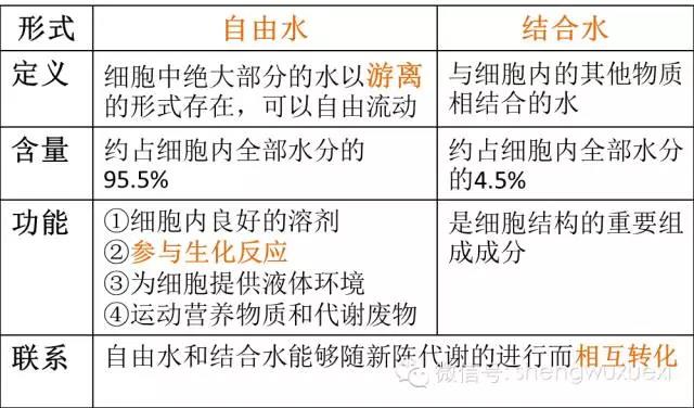 Bound water molecular structure