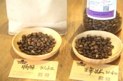 Flavor Exploration | Flavor Differences of Washed Yirgacheffe Woka Under Different Roasting Methods?