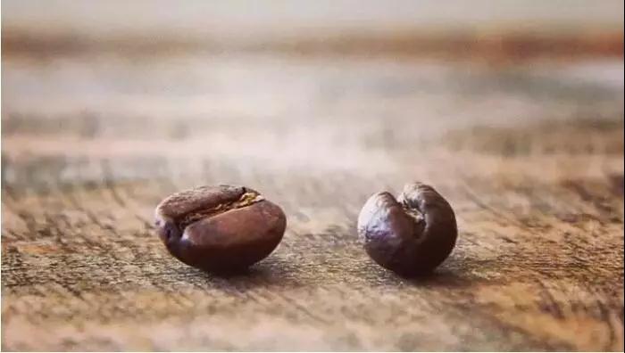 Peaberry Coffee Grading