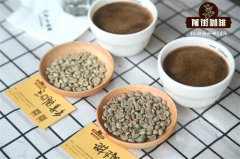 Pour-over Coffee: American Beans vs. African Beans - Which Tastes Better?