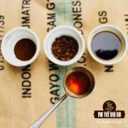 Understanding Blue Mountain Coffee Characteristics and How to Blend Blue Mountain Coffee