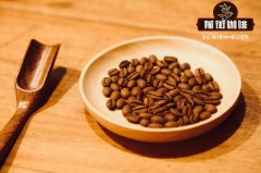 Characteristics and Flavor Comparison of Ethiopian Coffee Beans - How to Best Enjoy Ethiopian Coffee