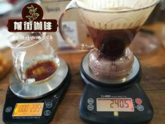 Mexican Chiapas PB Peaberry Flavor Profile and Taste Characteristics - What is Mexican Organic Coffee