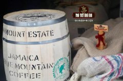 Overview of Kenya's EMBU Region - Embu Coffee Altitude Processing Factory Moreya AA