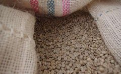 How Aged Coffee Beans Are Made and How to Drink Sumatra's Aged Coffee