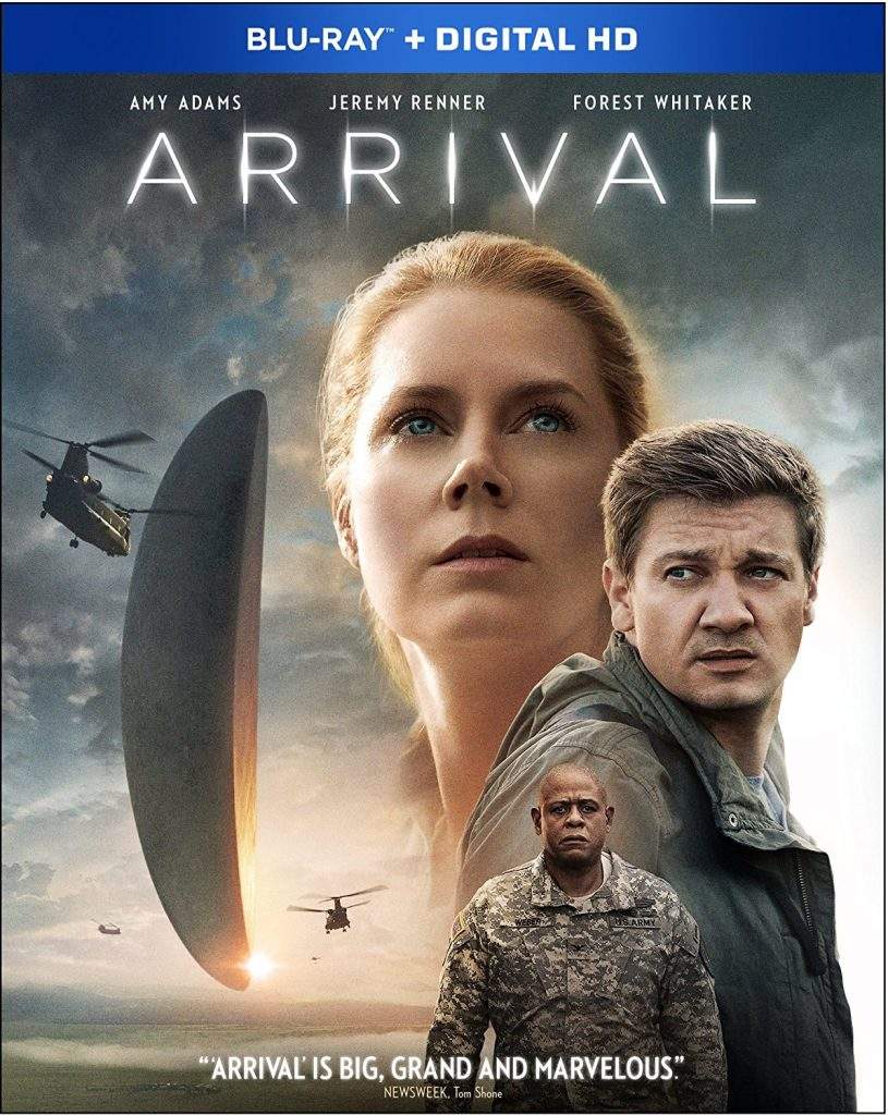 A scene from the 2016 sci-fi blockbuster 'Arrival'