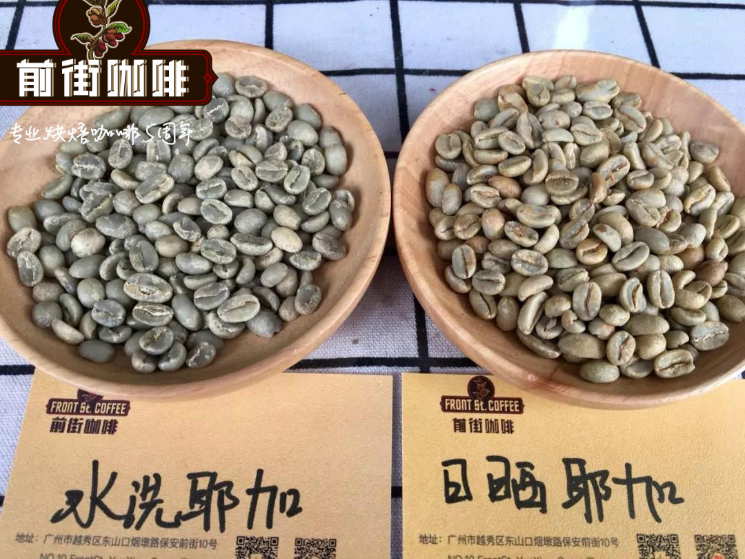 Washed Yirgacheffe Coffee Beans