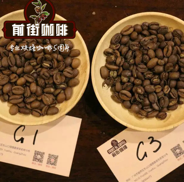 Coffee bean comparison G1 vs G3