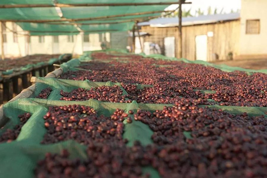 Natural processing method