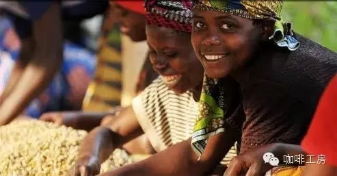 Coffee washing station