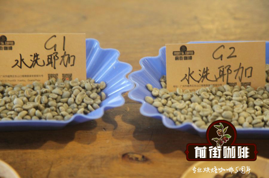 Green coffee beans comparison