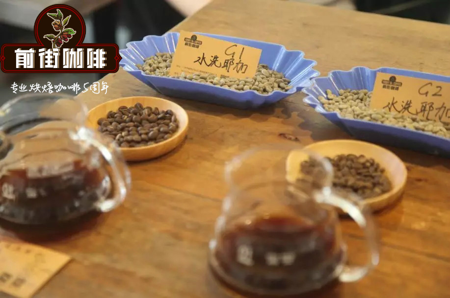 Yirgacheffe Coffee Beans Pour-Over Flavor Characteristics - G1 and G2 Differences and Grading System