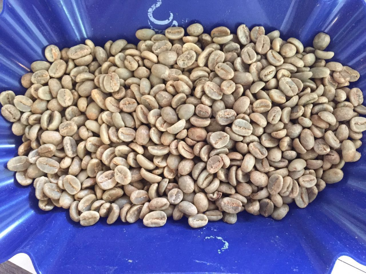 Caturra and Catuai Coffee Varieties